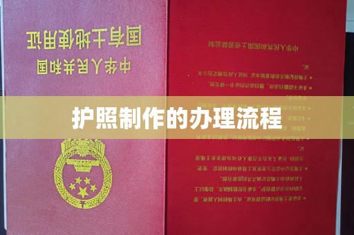 彭阳护照制作的办理流程