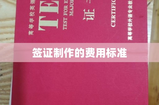 彭阳签证制作的费用标准