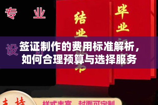 彭阳签证制作的费用标准解析，如何合理预算与选择服务