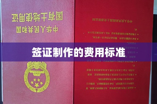彭阳签证制作的费用标准