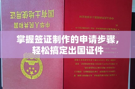 彭阳掌握签证制作的申请步骤，轻松搞定出国证件