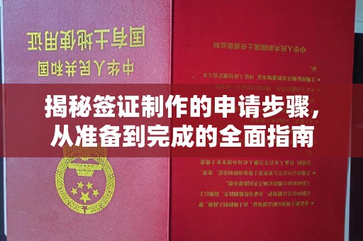 彭阳揭秘签证制作的申请步骤，从准备到完成的全面指南